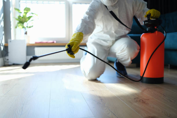 Reliable Sewage Cleanup contractor in South Charleston, OH by Trauma Clean Pros